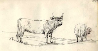 Illustration for article titled This Geological Field Notebook is An Elegant Look at Mountain-Building